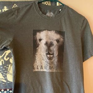 Prana “Llamaste” T-shirt